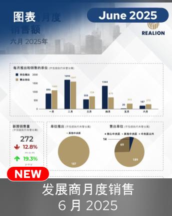 Monthly Developer Sales June 2025 Mandarin